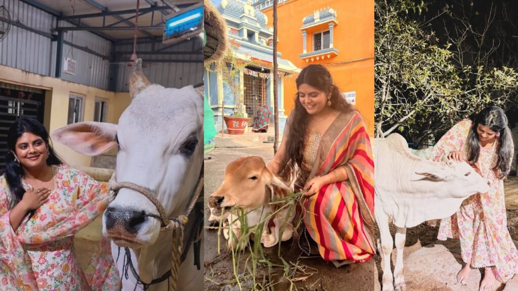 Star Director Daughter Cute Photos with Cow Photos goes Viral