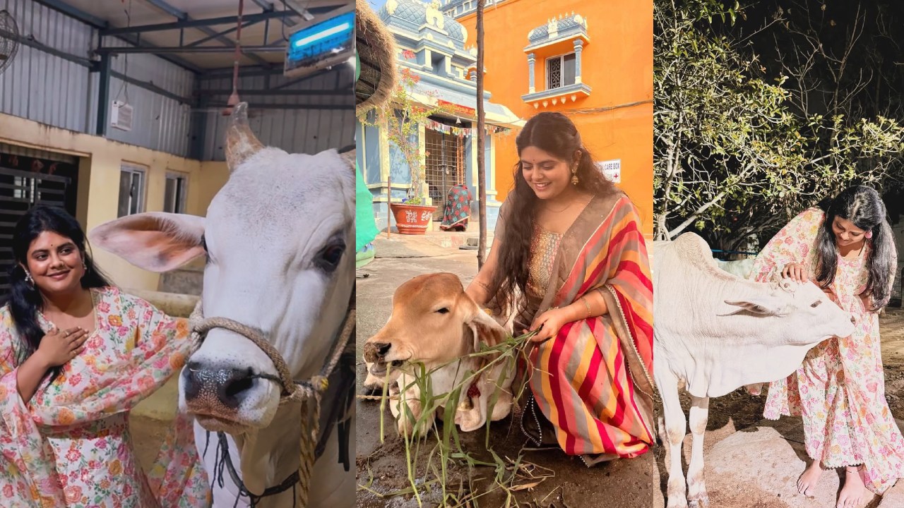 Star Director Daughter : గోవులతో క్యూట్ గా ఉన్న ఈ అమ్మాయి ఎవరో తెలుసా? స్టార్ డైరెక్టర్ కూతురు.. హీరో చెల్లి.. Star Director Daughter : గోవులతో క్యూట్ గా ఉన్న ఈ అమ్మాయి ఎవరో తెలుసా? స్టార్ డైరెక్టర్ కూతురు.. హీరో చెల్లి..