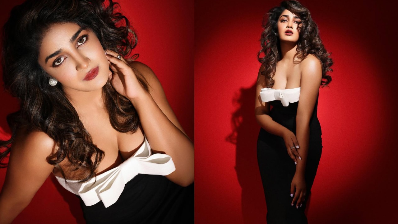 Dimple Hayathi : చాన్నాళ్లకు ఫోటోలు షేర్ చేసిన డింపుల్ హయతి.. త్వరలో కొత్త సినిమాతో..