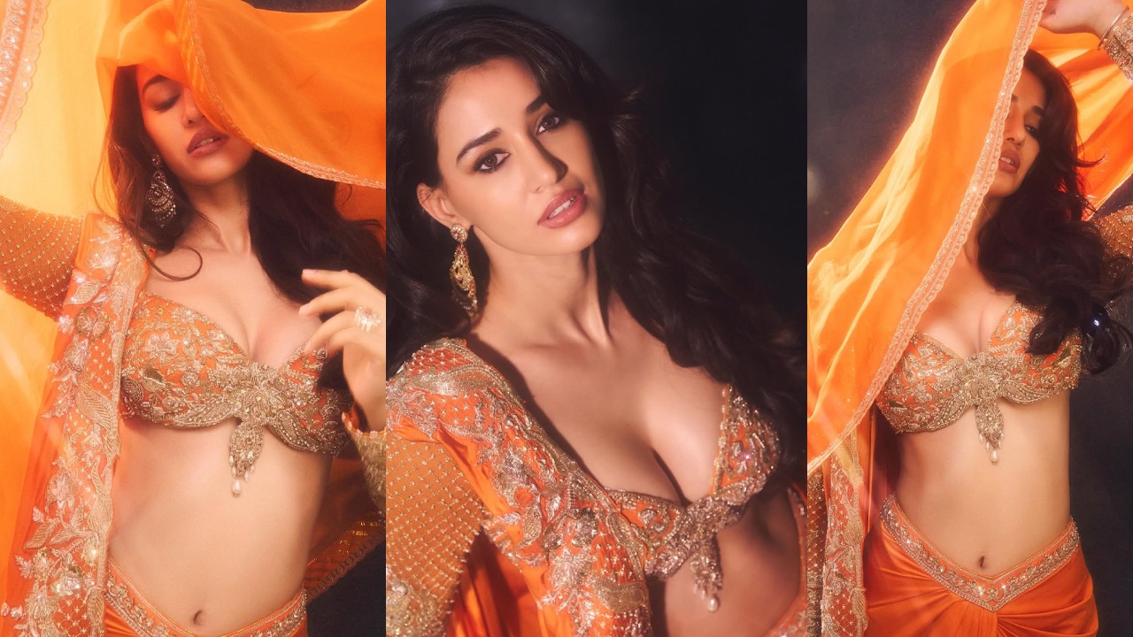 Disha Patani : అందాల దోబూచులాట.. దిశా పటాని మెరుపులు..