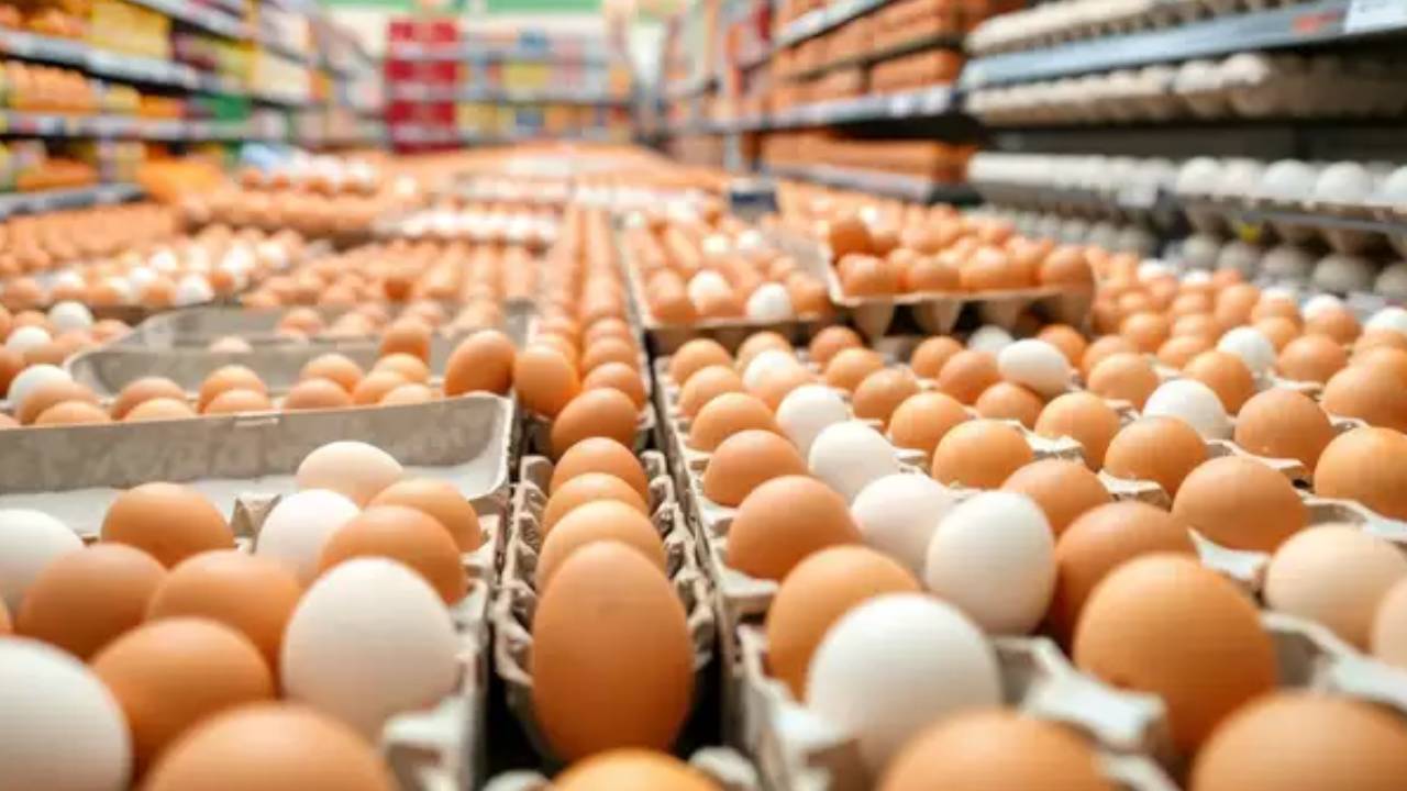US Egg Crisis : వామ్మో.. బంగారం ధరలతో పోటీపడుతున్న కోడిగుడ్లు.. అక్కడ కోడిగుడ్లకు ఎందుకంత డిమాండ్ అంటే.. US Egg Crisis : వామ్మో.. బంగారం ధరలతో పోటీపడుతున్న కోడిగుడ్లు.. అక్కడ కోడిగుడ్లకు ఎందుకంత డిమాండ్ అంటే..