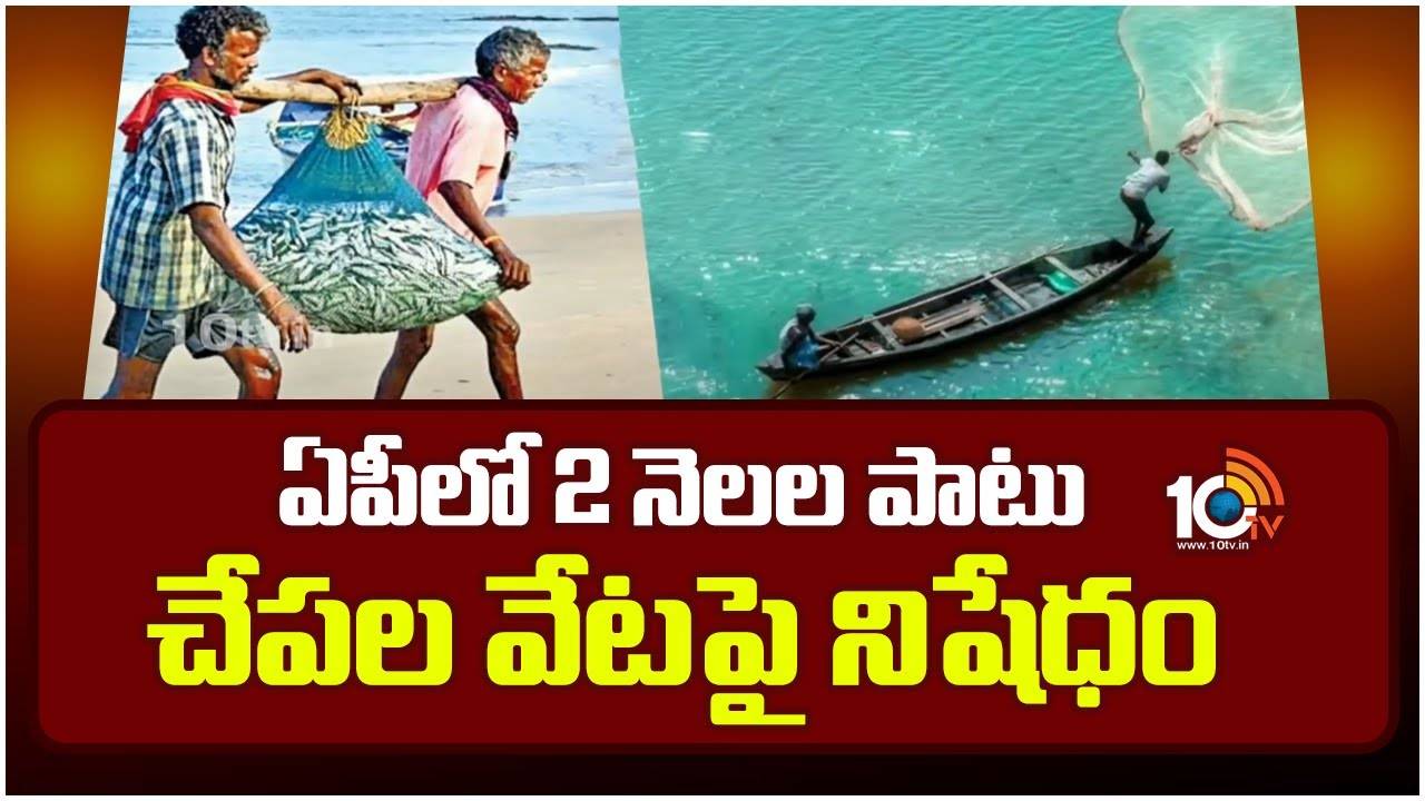 AP : ఏపీలో 2 నెలల పాటు చేపల వేటపై నిషేధం