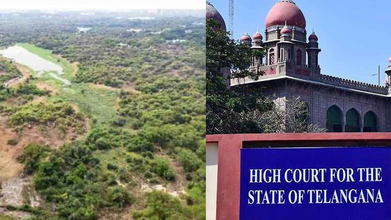 HCU Lands Dispute : హెచ్సీయూ భూముల వివాదంపై హైకోర్టులో విచారణ.. HCU Lands Dispute : హెచ్సీయూ భూముల వివాదంపై హైకోర్టులో విచారణ..