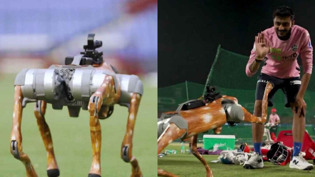IPL Robot Dog