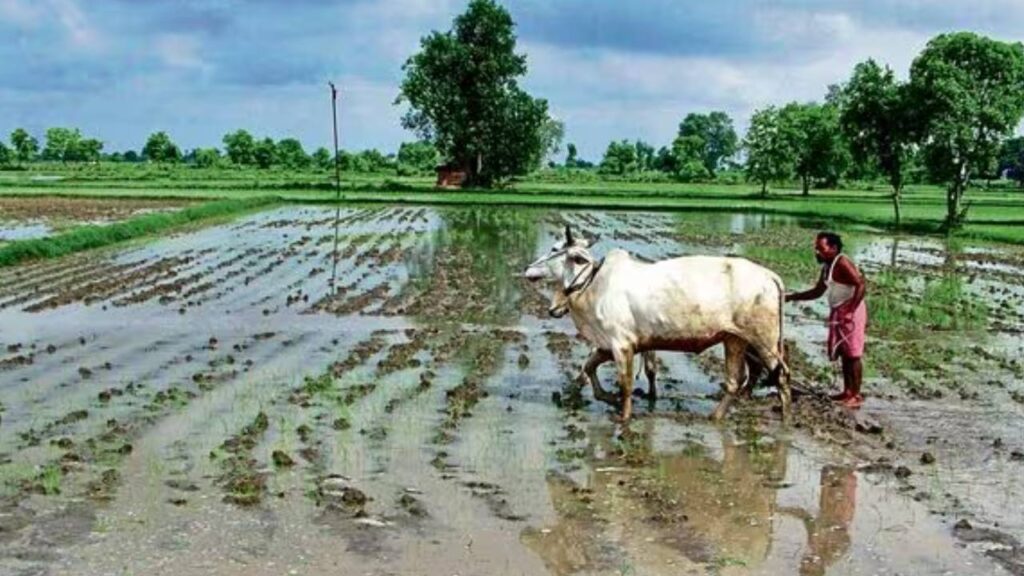 Kharif season