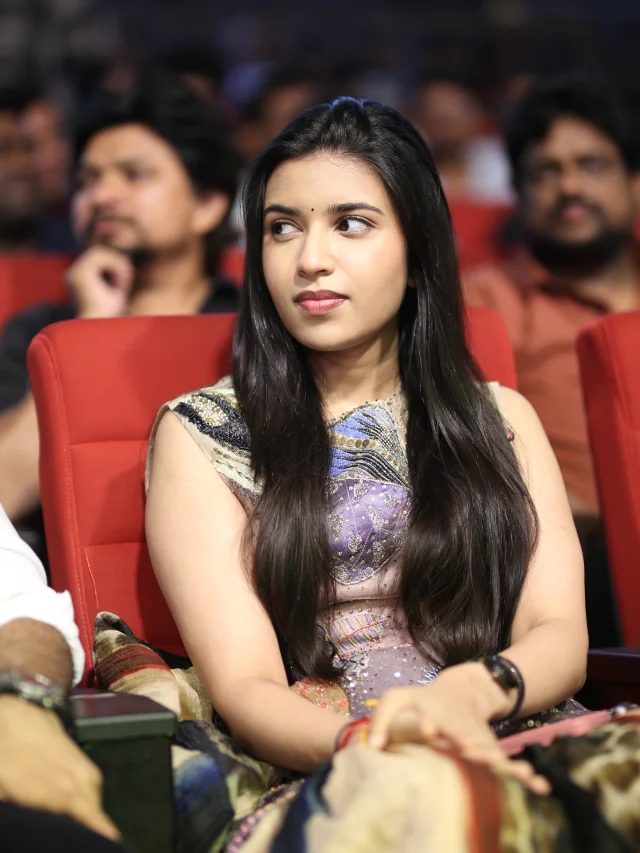 Narne Nithiin NTR Mad Square Success Meet