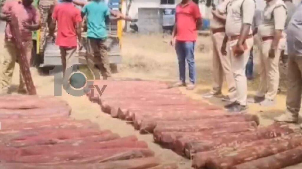 Red Sandalwood Smuggling