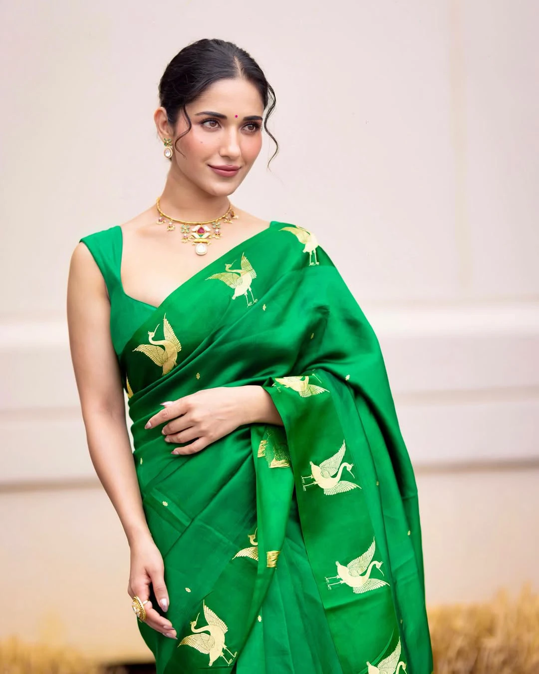 Ruhani Sharma Cute and Sizzling Photos