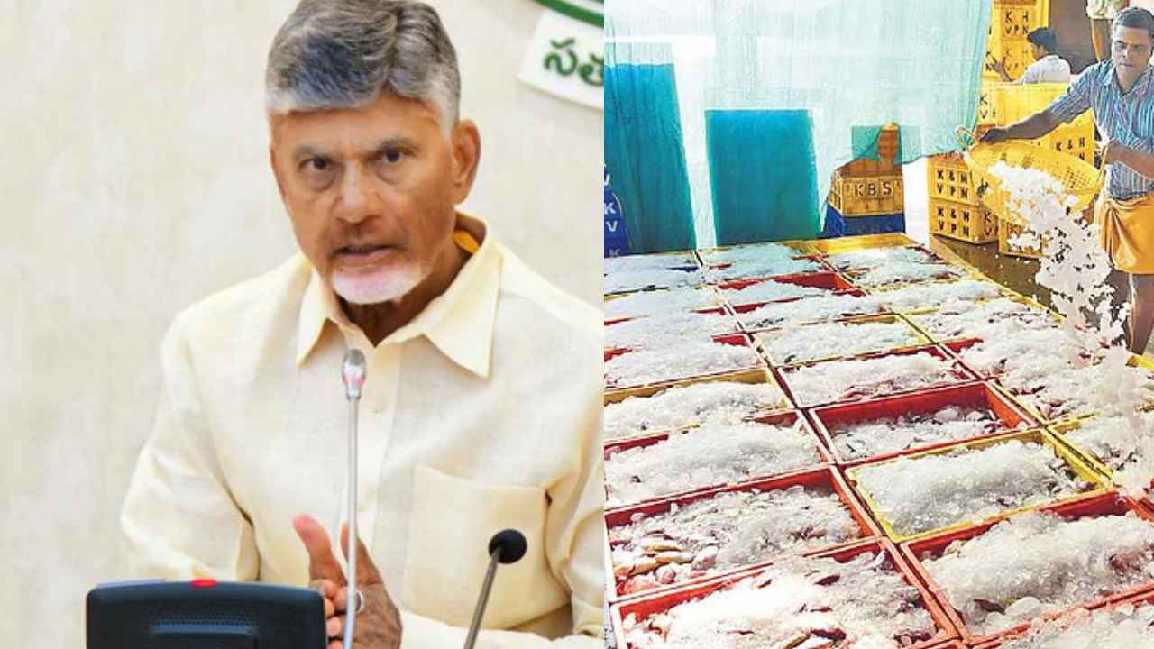 AP Aqua Sector : ఆక్వా రంగానికి అండగా ముఖ్యమంత్రి చంద్రబాబు.. ఆదుకోవాలని కేంద్రమంత్రికి లేఖ AP Aqua Sector : ఆక్వా రంగానికి అండగా ముఖ్యమంత్రి చంద్రబాబు.. ఆదుకోవాలని కేంద్రమంత్రికి లేఖ