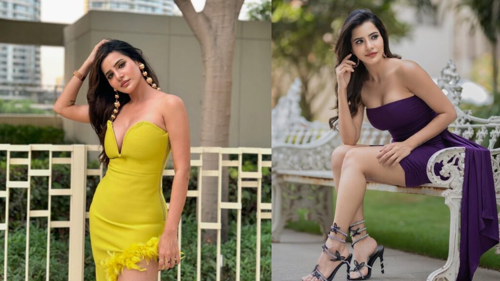 Do You Know how much cost of Ashu Reddy costly Handbag