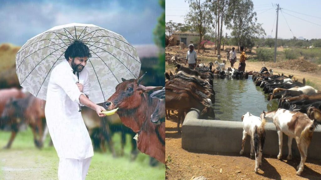 AP Deputy CM Pawan Kalyan Started New Work for Animals Under Panchayat Raj Rural Development Ministry