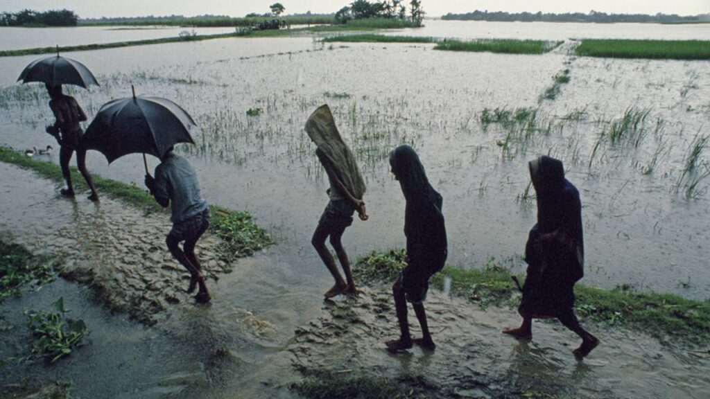 AP Rains