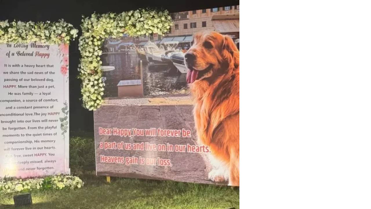 Anant Ambani pet dog ‘Happy’ 