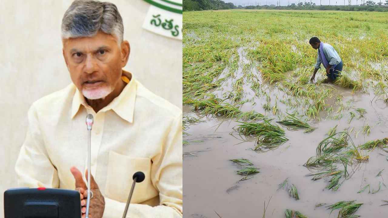Cm Chandrababu: రేపటి సాయంత్రంలోగా వారికి పరిహారం- అధికారులకు సీఎం చంద్రబాబు కీలక ఆదేశాలు Cm Chandrababu: రేపటి సాయంత్రంలోగా వారికి పరిహారం- అధికారులకు సీఎం చంద్రబాబు కీలక ఆదేశాలు