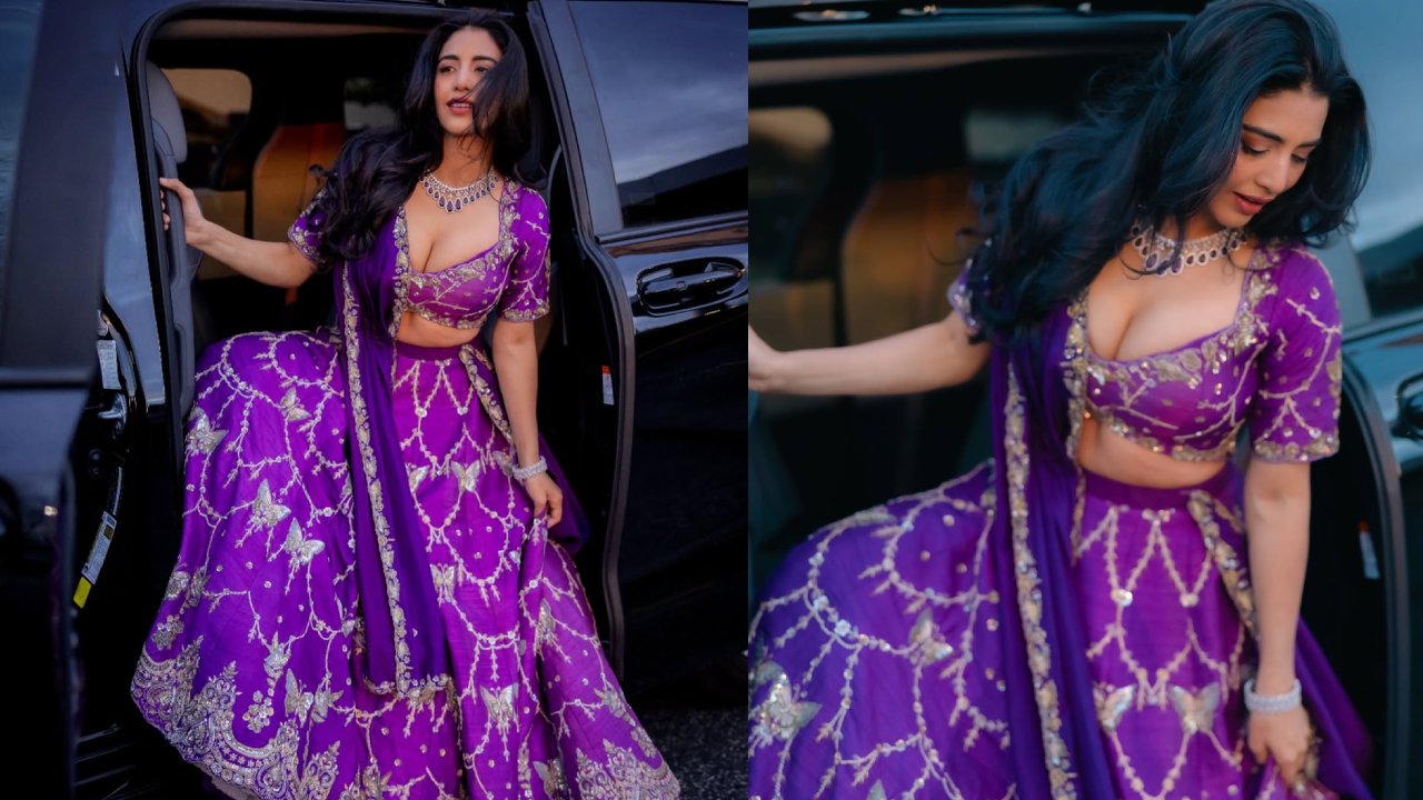 Daksha Nagarkar : దక్ష నగార్కర్ అందాల వెల్లువ.. లెహంగా డ్రెస్ లో ఫొటోలు..