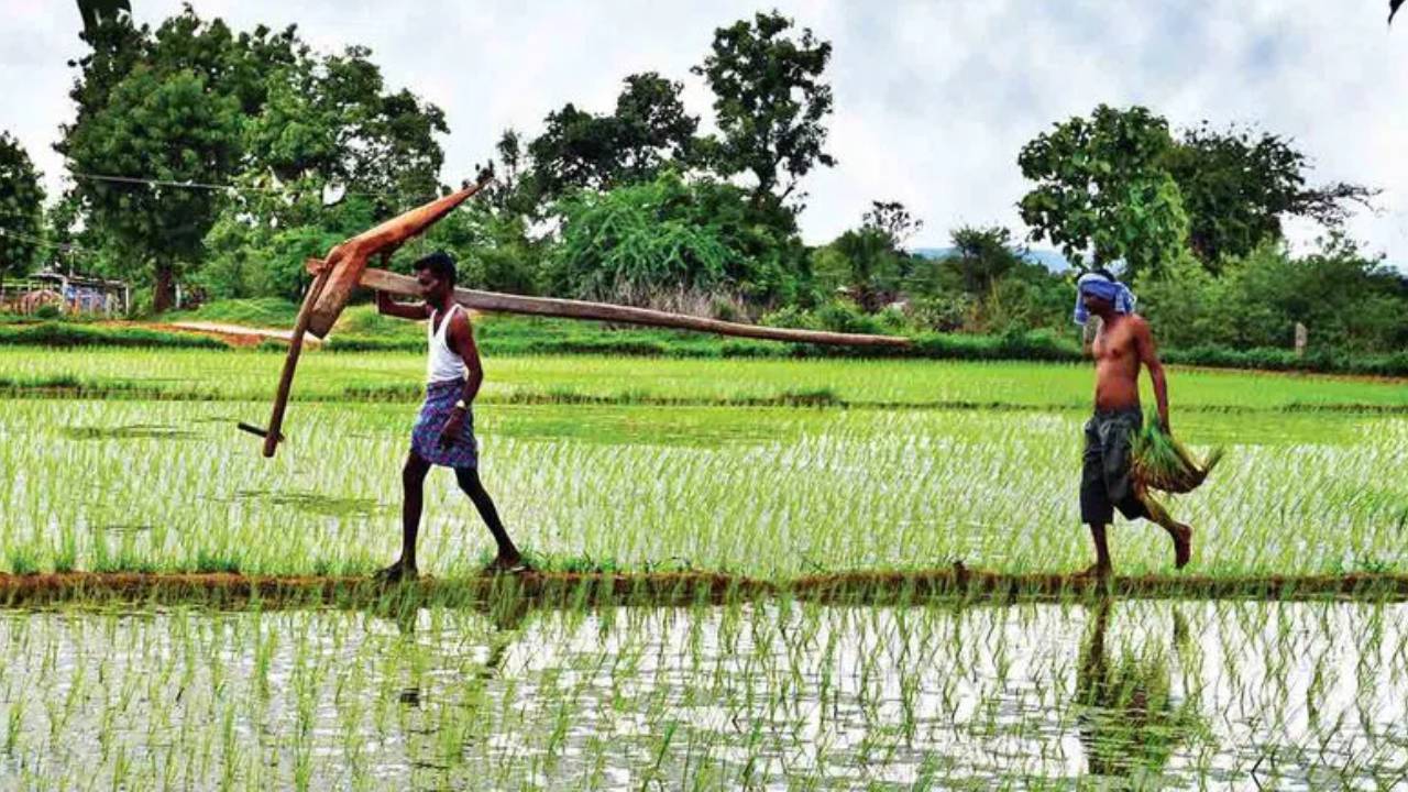 రైతులకు గుడ్ న్యూస్.. ఇప్పుడు ఇంకా ఎక్కువ లోన్లు ఇస్తారు.. ఏయే పంటలకు ఎంత ఇస్తారంటే.. రైతులకు గుడ్ న్యూస్.. ఇప్పుడు ఇంకా ఎక్కువ లోన్లు ఇస్తారు.. ఏయే పంటలకు ఎంత ఇస్తారంటే..