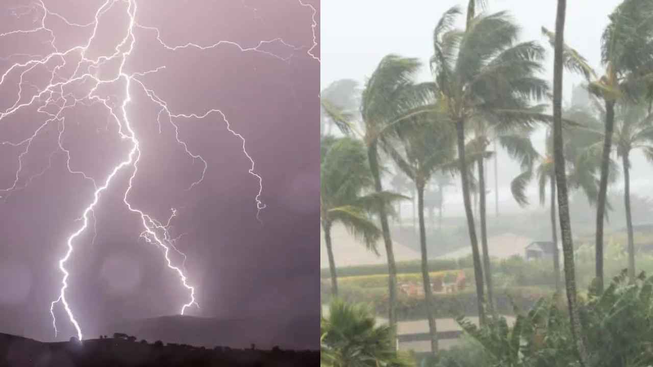 ఏపీలో 5 జిల్లాలకు రెడ్ అలర్ట్, 6 జిల్లాలకు ఆరెంజ్ అలర్ట్.. ఆ జిల్లాలివే.. రాష్ట్ర ప్రభుత్వం ఫుల్ అలర్ట్.. కలెక్టర్లకు, ఎస్పీలకు ఆదేశాలు.. ఏపీలో 5 జిల్లాలకు రెడ్ అలర్ట్, 6 జిల్లాలకు ఆరెంజ్ అలర్ట్.. ఆ జిల్లాలివే.. రాష్ట్ర ప్రభుత్వం ఫుల్ అలర్ట్.. కలెక్టర్లకు, ఎస్పీలకు ఆదేశాలు..