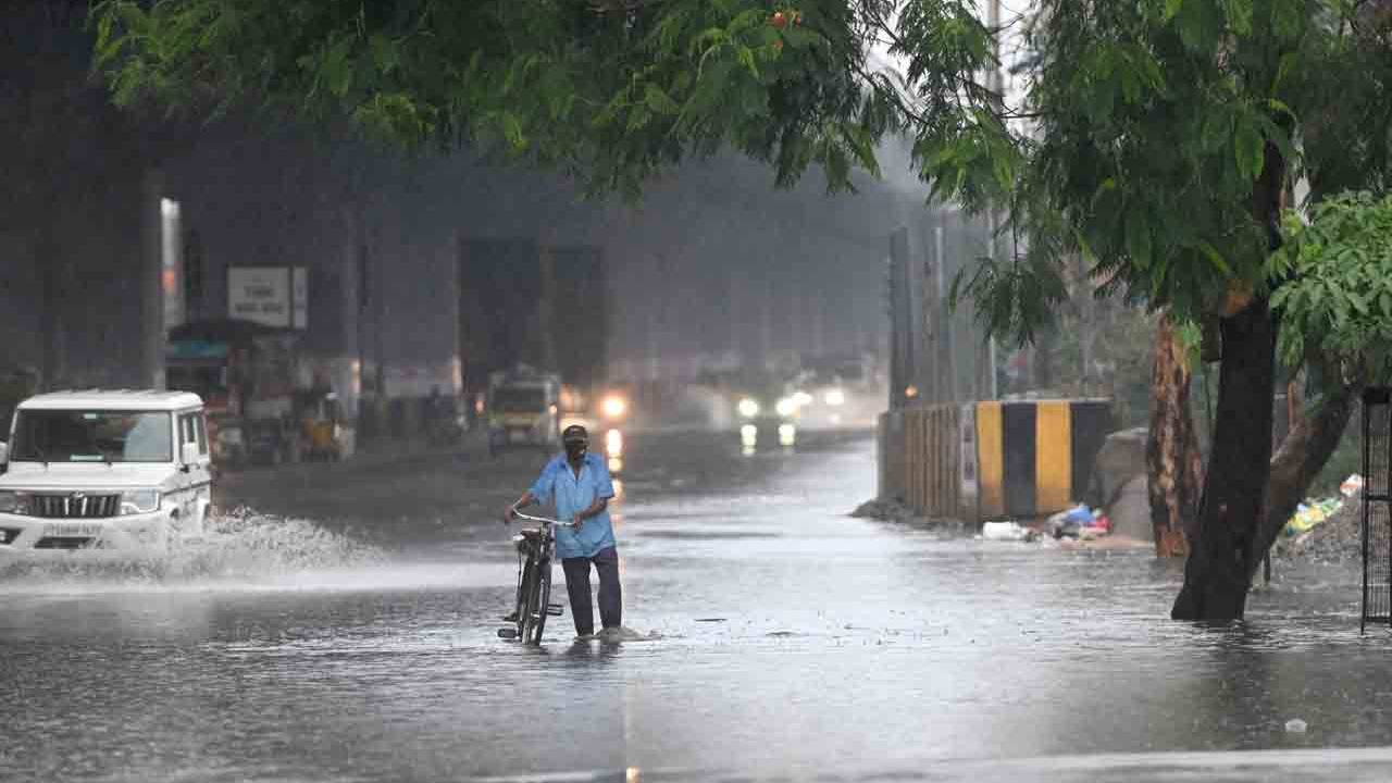 Rain Alert: తెలంగాణలో వానలేవానలు.. ఆ 11 జిల్లాల్లో రెండ్రోజులు భారీ వర్షాలు.. వేగంగా కదులుతున్న రుతుపవనాలు Rain Alert: తెలంగాణలో వానలేవానలు.. ఆ 11 జిల్లాల్లో రెండ్రోజులు భారీ వర్షాలు.. వేగంగా కదులుతున్న రుతుపవనాలు