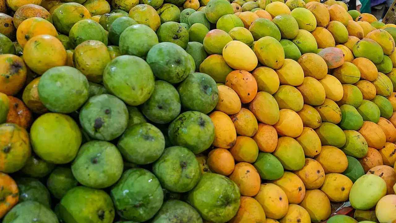 Why India Mango Rejected: 25 మెట్రిక్ టన్నుల భారత మామిడి పండ్లను అమెరికా ఎందుకు తిరస్కరించింది? తప్పు ఎవరిది.. Why India Mango Rejected: 25 మెట్రిక్ టన్నుల భారత మామిడి పండ్లను అమెరికా ఎందుకు తిరస్కరించింది? తప్పు ఎవరిది..
