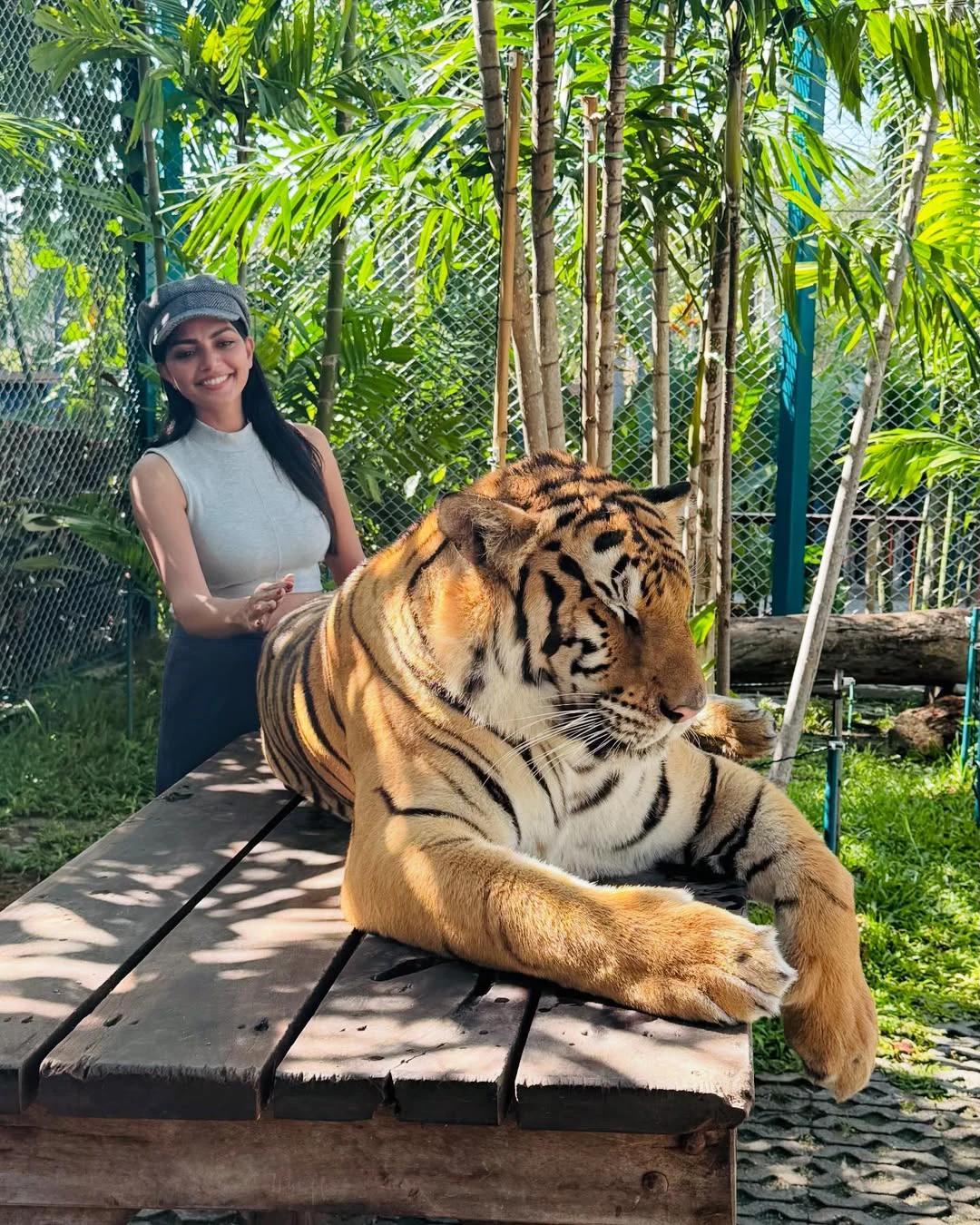 Lahari Shari Play with Tigers