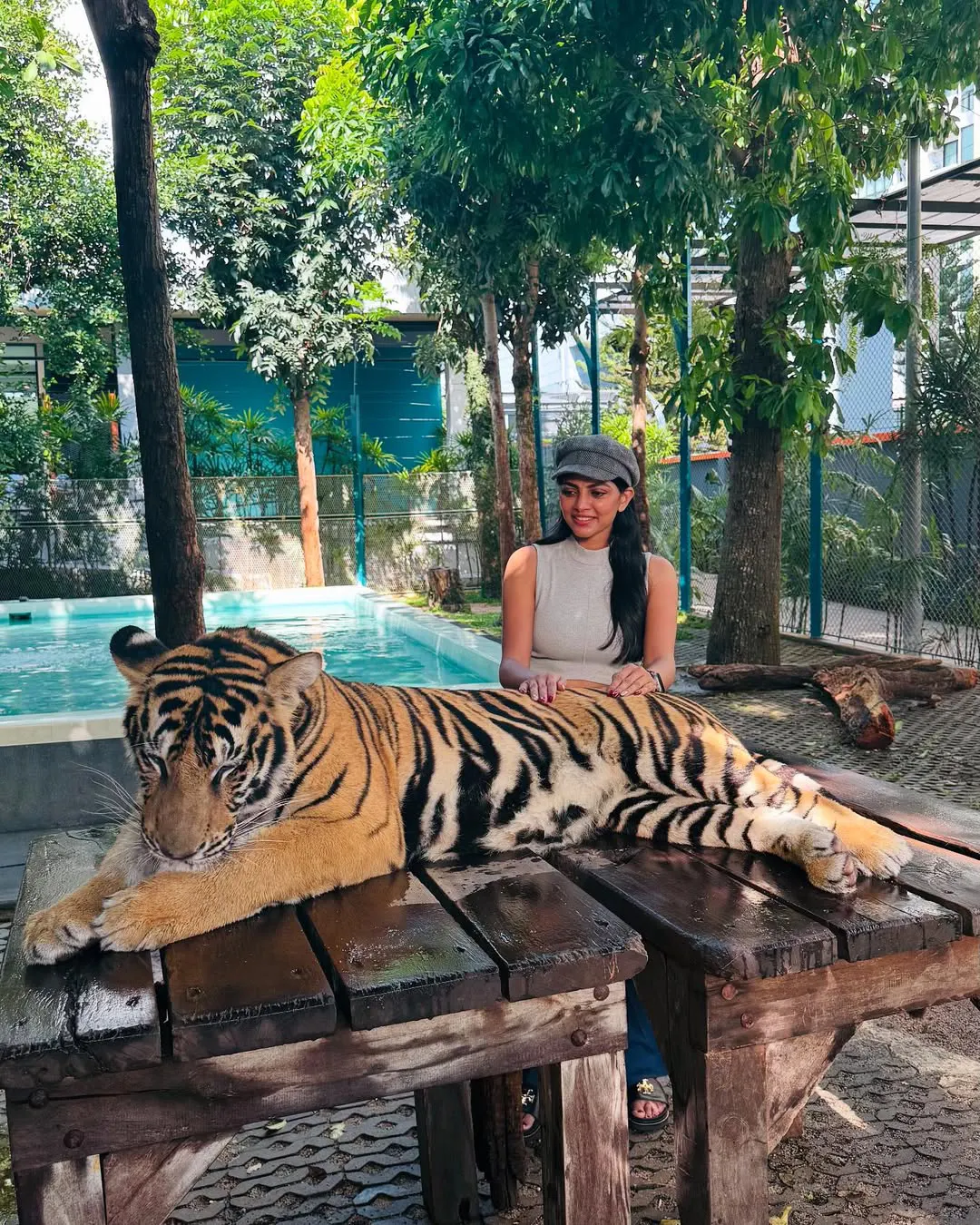 Lahari Shari Play with Tigers