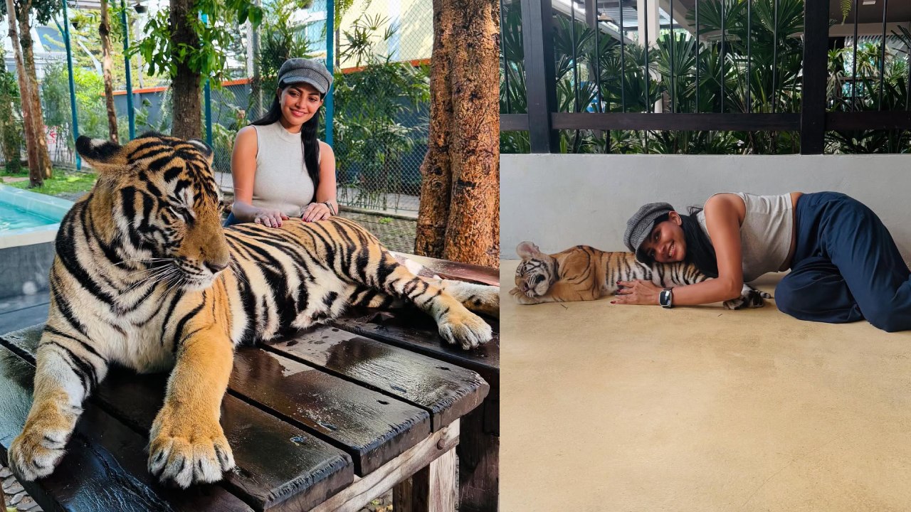 Lahari Shari : పులులతో ఆడుకుంటున్న బిగ్ బాస్ భామ.. లహరి షరీ ఫొటోలు..