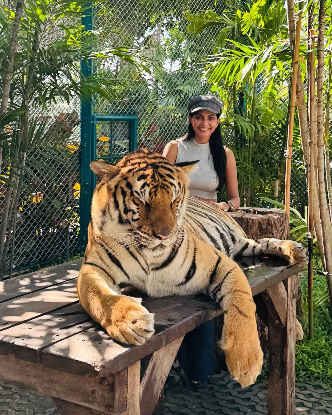 Lahari Shari Play with Tigers