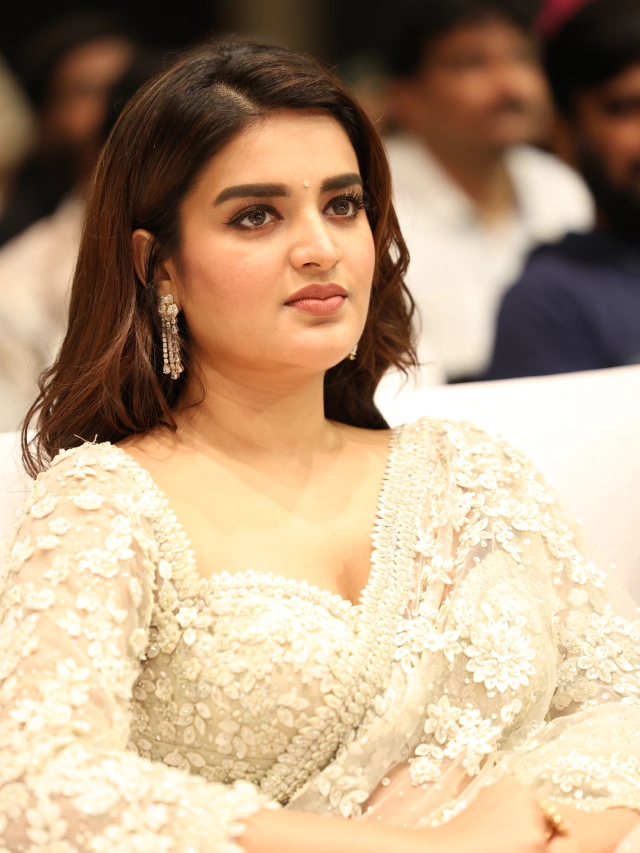 Nidhhi Agerwal Shines in Saree at HariHara VeeraMallu