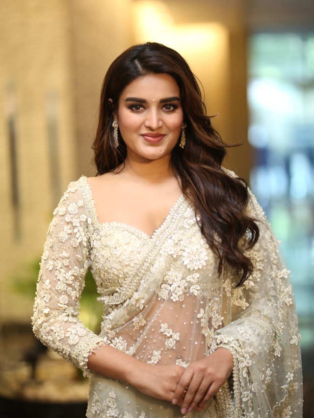 Nidhhi Agerwal Shines in Saree at HariHara VeeraMallu