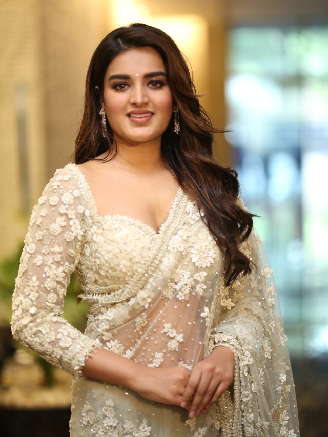Nidhhi Agerwal Shines in Saree at HariHara VeeraMallu