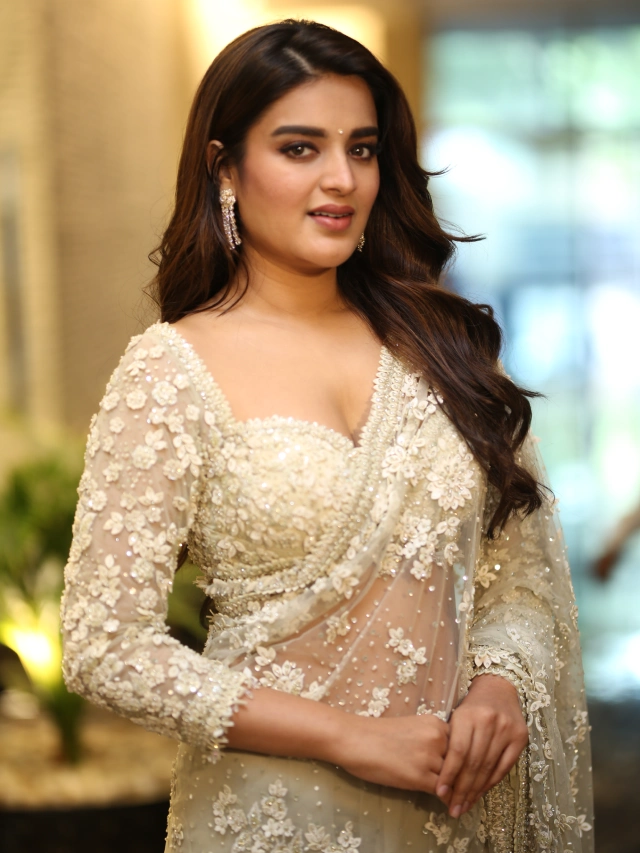 Nidhhi Agerwal Shines in Saree at HariHara VeeraMallu