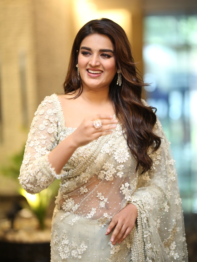 Nidhhi Agerwal Shines in Saree at HariHara VeeraMallu