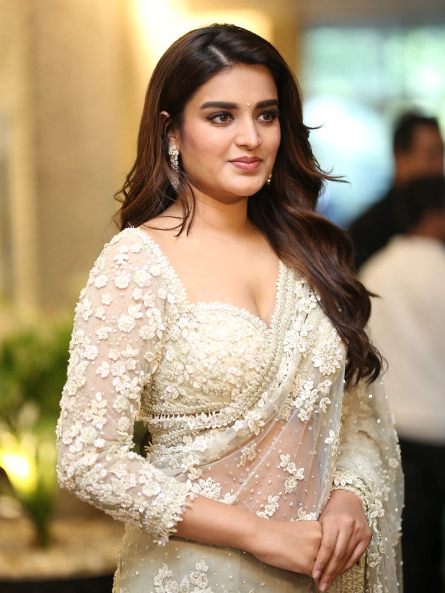 Nidhhi Agerwal Shines in Saree at HariHara VeeraMallu