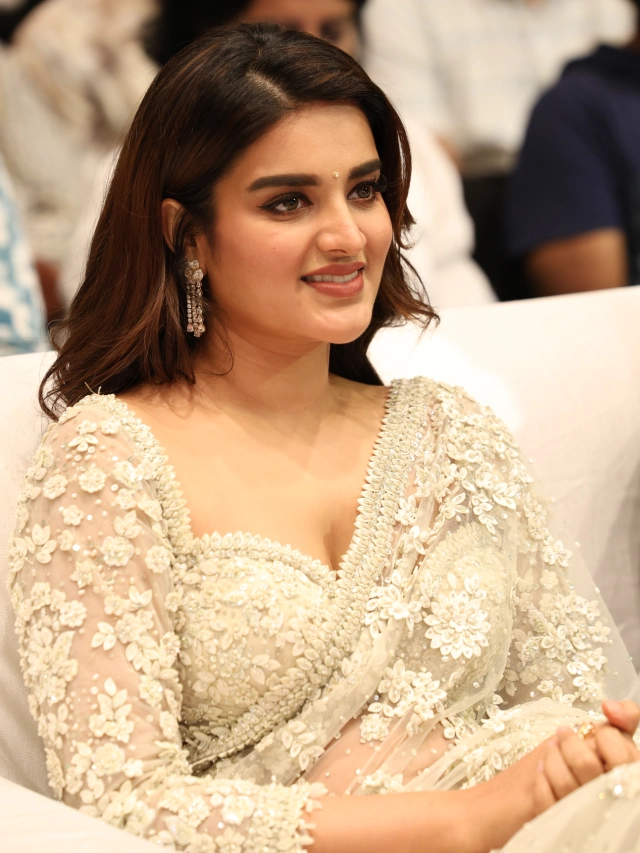 Nidhhi Agerwal Shines in Saree at HariHara VeeraMallu