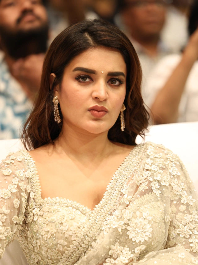 Nidhhi Agerwal Shines in Saree at HariHara VeeraMallu