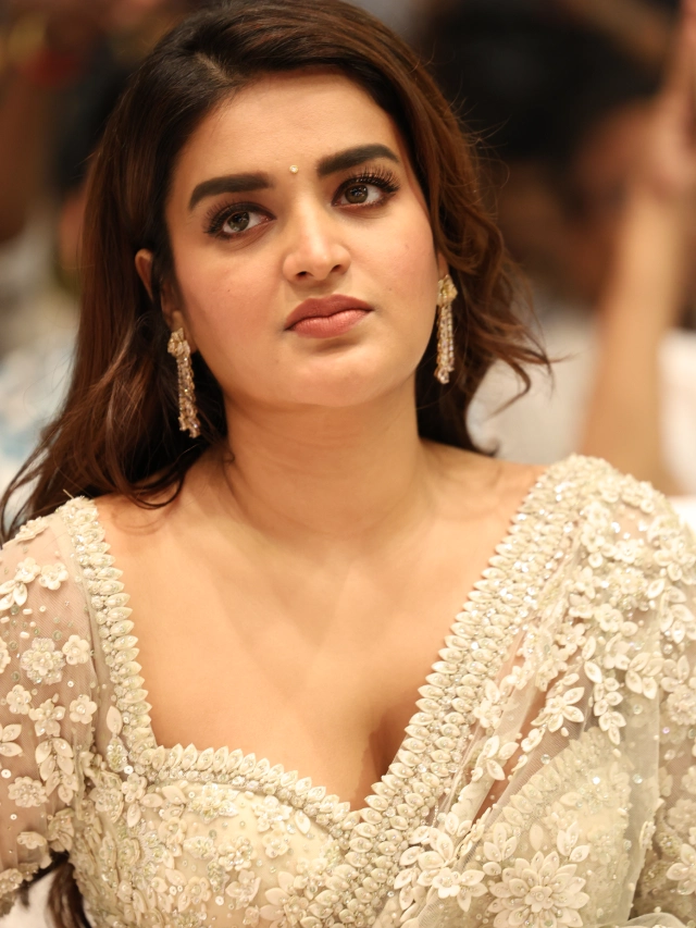 Nidhhi Agerwal Shines in Saree at HariHara VeeraMallu