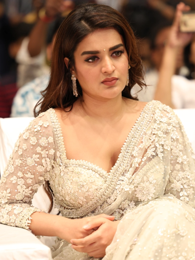 Nidhhi Agerwal Shines in Saree at HariHara VeeraMallu