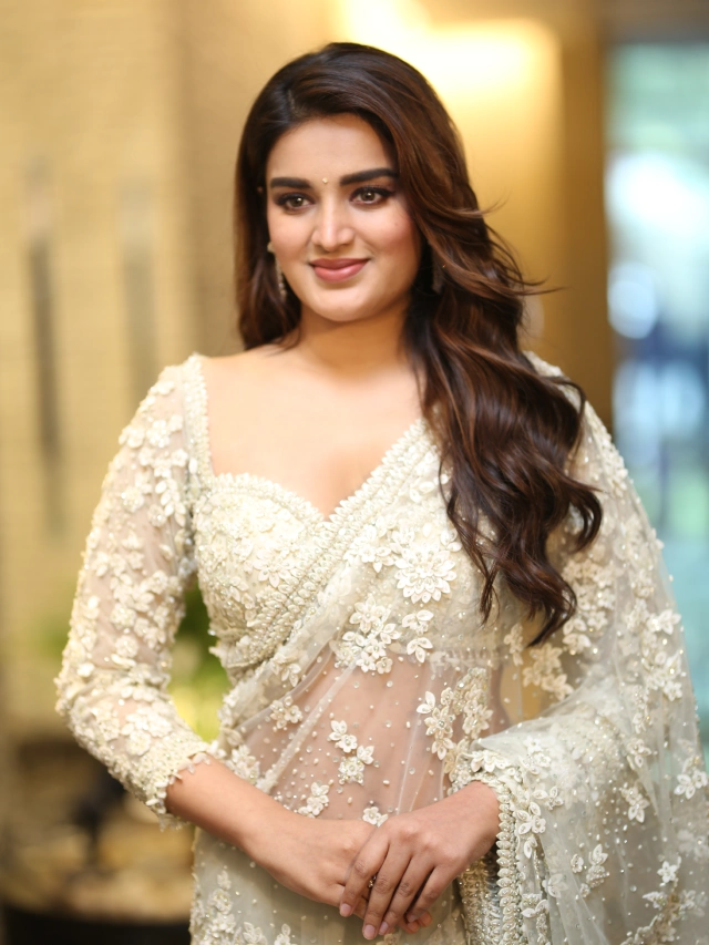 Nidhhi Agerwal Shines in Saree at HariHara VeeraMallu