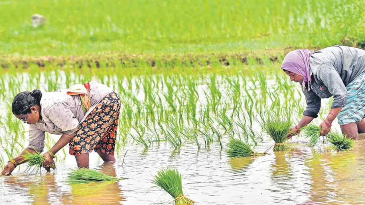 Rythu Bharosa: రైతులకు గుడ్న్యూస్.. అకౌంట్స్లో రైతు భరోసా రూ. 6వేలు పడే డేట్ ఫిక్స్.. ఈ నెలలోనే Rythu Bharosa: రైతులకు గుడ్న్యూస్.. అకౌంట్స్లో రైతు భరోసా రూ. 6వేలు పడే డేట్ ఫిక్స్.. ఈ నెలలోనే