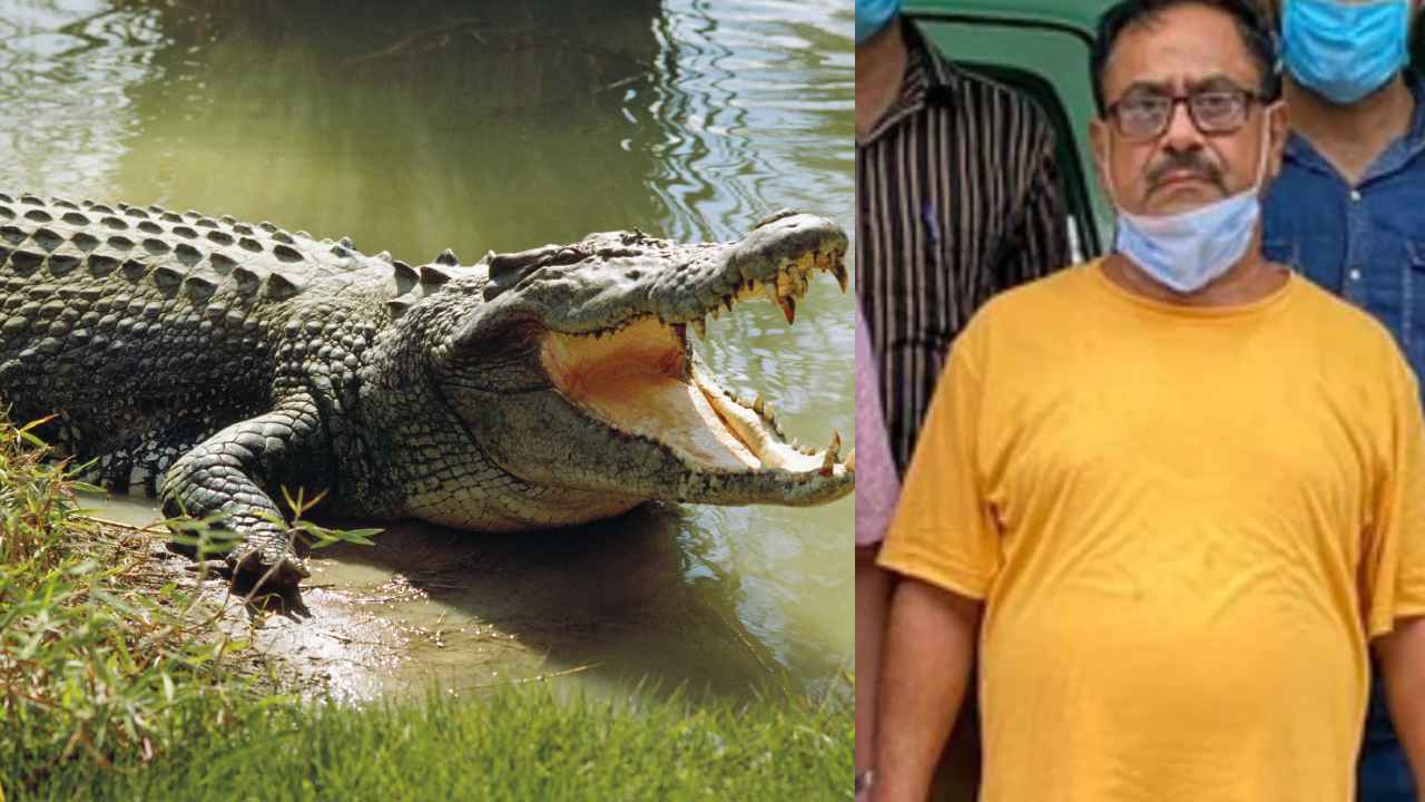 Serial Killer: మనుషులను చంపి మొసళ్లకు ఆహారంగా వేసే సీరియల్ కిల్లర్ అరెస్ట్.. వెన్నులో వణుకు పుట్టించే ఆయుర్వేద డాక్టర్ నేర చరిత్ర.. Serial Killer: మనుషులను చంపి మొసళ్లకు ఆహారంగా వేసే సీరియల్ కిల్లర్ అరెస్ట్.. వెన్నులో వణుకు పుట్టించే ఆయుర్వేద డాక్టర్ నేర చరిత్ర..