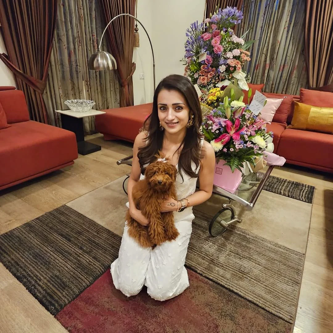 Trisha Birthday Celebrations
