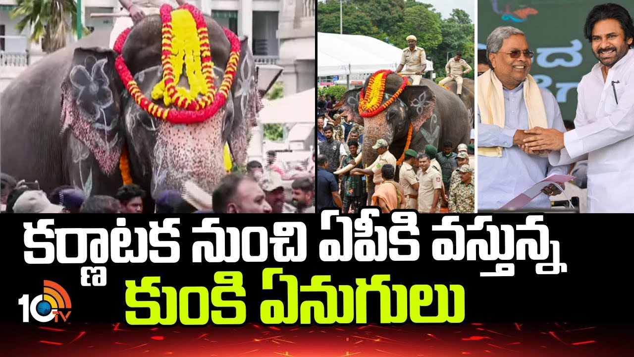 Kumki Elephants: కర్ణాటక నుంచి ఏపీకి వస్తున్న కుంకి ఏనుగులు