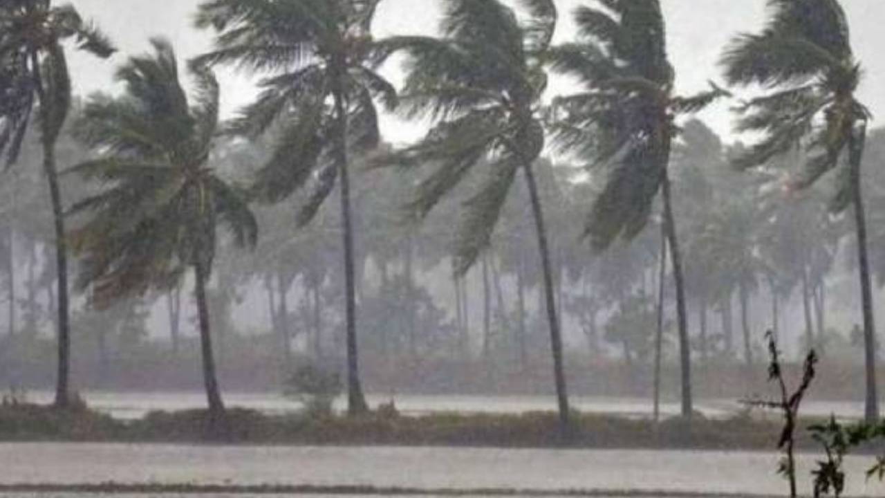 AP Rains: మరో అల్పపీడనం.. ఏపీకి భారీ వర్ష సూచన.. 3 రోజులు కుండపోత వానలు.. టోల్ ఫ్రీ నెంబర్లు ఏర్పాటు.. AP Rains: మరో అల్పపీడనం.. ఏపీకి భారీ వర్ష సూచన.. 3 రోజులు కుండపోత వానలు.. టోల్ ఫ్రీ నెంబర్లు ఏర్పాటు..