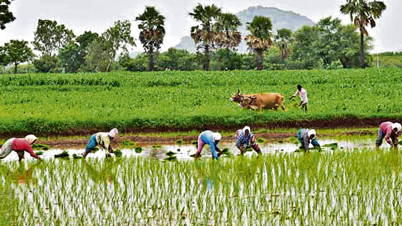 ఏపీలోని రైతులకు బిగ్ అలర్ట్.. ‘అన్నదాత సుఖీభవ’ తొలి విడత డబ్బులు వచ్చేస్తున్నాయ్.. మీ బ్యాంకు ఖాతాల్లో.. ఏపీలోని రైతులకు బిగ్ అలర్ట్.. ‘అన్నదాత సుఖీభవ’ తొలి విడత డబ్బులు వచ్చేస్తున్నాయ్.. మీ బ్యాంకు ఖాతాల్లో..