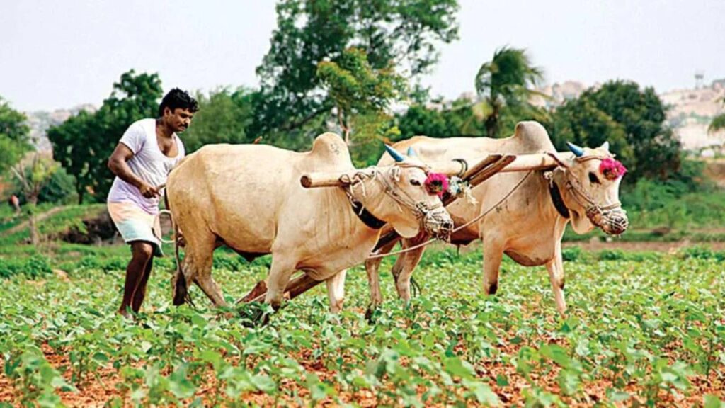 Rythu Bharosa scheme