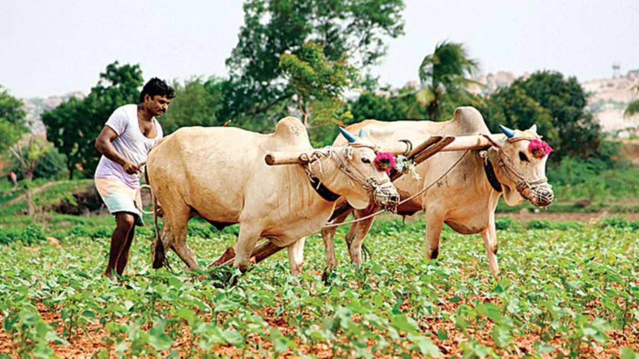 అన్నదాత సుఖీభవ.. రైతుల అకౌంట్లలో రూ.7000 వేయడానికి డేట్ ఫిక్స్.. సీఎం చంద్రబాబు అధికారిక ప్రకటన అన్నదాత సుఖీభవ.. రైతుల అకౌంట్లలో రూ.7000 వేయడానికి డేట్ ఫిక్స్.. సీఎం చంద్రబాబు అధికారిక ప్రకటన