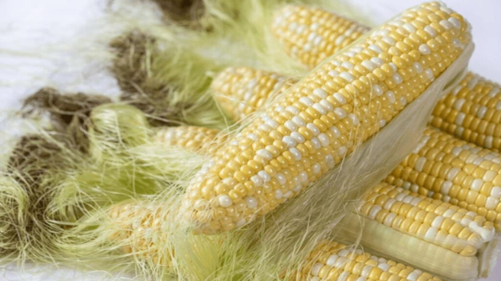 Corn silk benefits