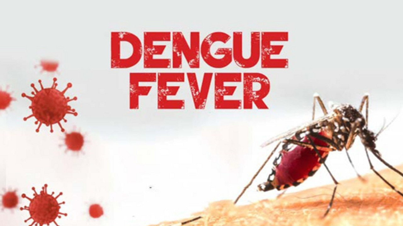 Dengue: డెంగ్యూ డేంజర్.. వర్షాకాలం వచ్చేసింది.. ఈ జాగ్రత్తలు తప్పనిసరి Dengue: డెంగ్యూ డేంజర్.. వర్షాకాలం వచ్చేసింది.. ఈ జాగ్రత్తలు తప్పనిసరి