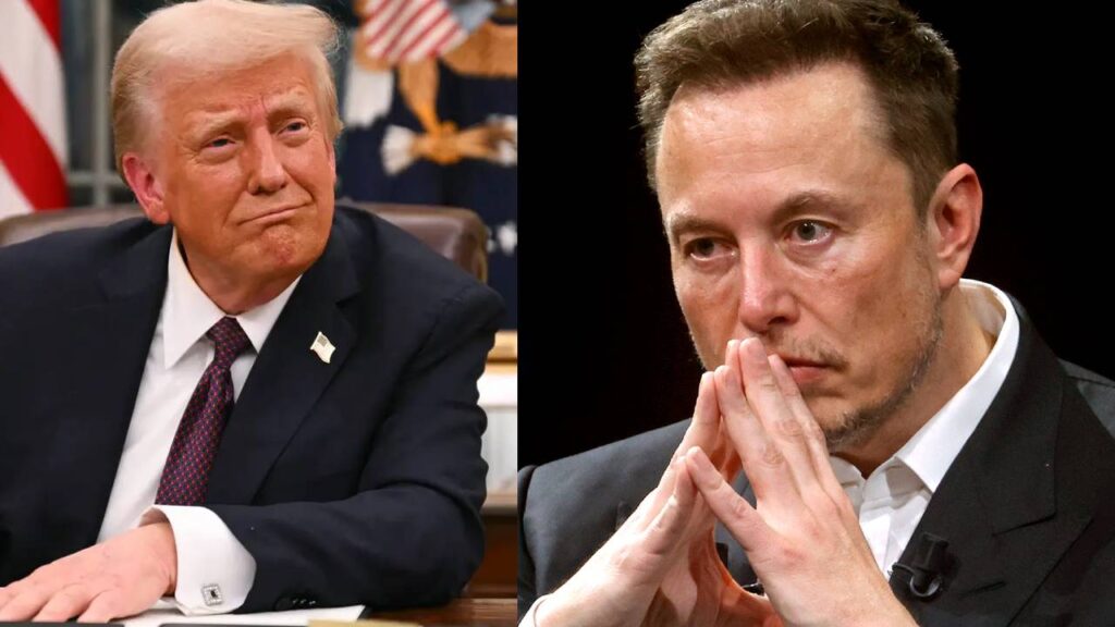Donald Trump Elon Musk