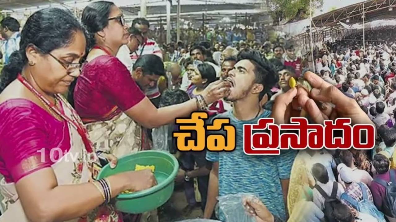 చేప ప్రసాదం పంపిణీ షురూ.. భారీగా తరలివచ్చిన ప్రజలు.. ప్రభుత్వం ప్రత్యేక ఏర్పాట్లు చేప ప్రసాదం పంపిణీ షురూ.. భారీగా తరలివచ్చిన ప్రజలు.. ప్రభుత్వం ప్రత్యేక ఏర్పాట్లు